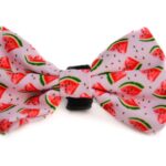 Bowtie “Water Your Melon”