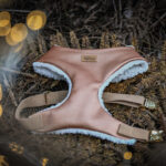 Limited edition X-MAS harness “Bronzen Teddy”