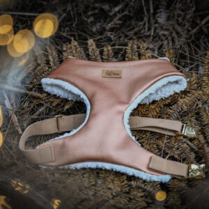 Limited edition X-MAS harness “Bronzen Teddy”