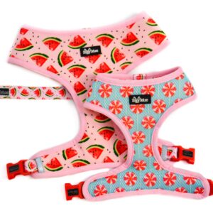 Reversible harness “Water Your Melon”