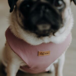 Luxury harness “Old Pink”